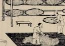 微生物学 微生物学