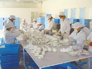 悉生生物学 悉生生物学