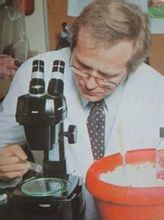 科学研究 科学研究