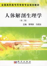 人体解剖生理学 人体解剖生理学