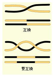 (图)遗传学 (图)遗传学