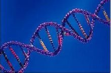 分子遗传学 分子遗传学