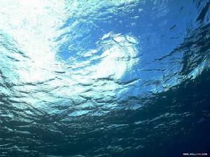 （图）海洋生物化学