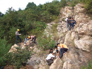 构造地质学 构造地质学