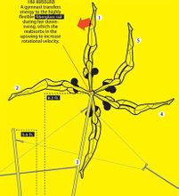 数学物理学 数学物理学